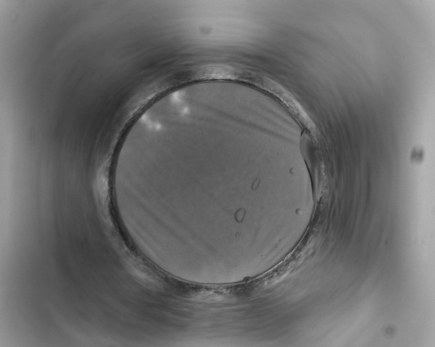 X0000101970386200808151343