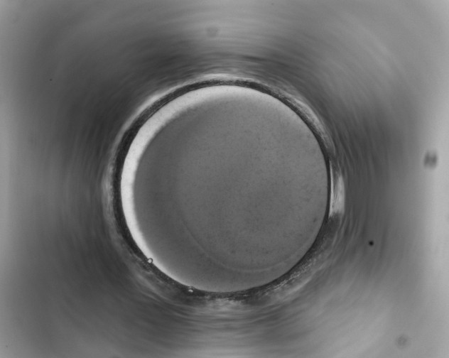 X0000101970387200808151343