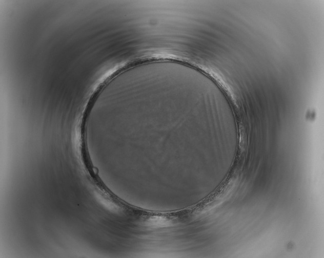 X0000101970390200808151343