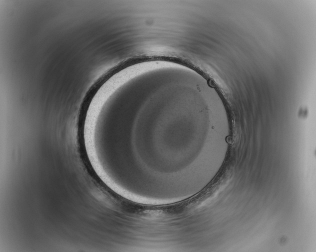 X0000101970391200808151343