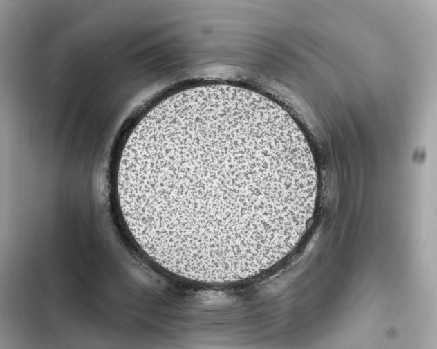 X0000101970392200808151343