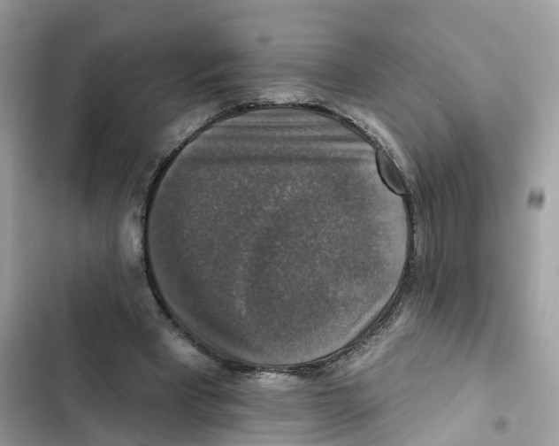 X0000101970393200808151343
