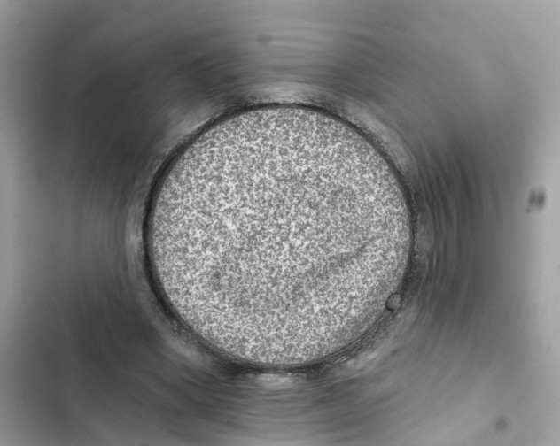 X0000101970394200808151343