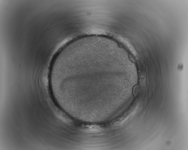 X0000101970395200808151343