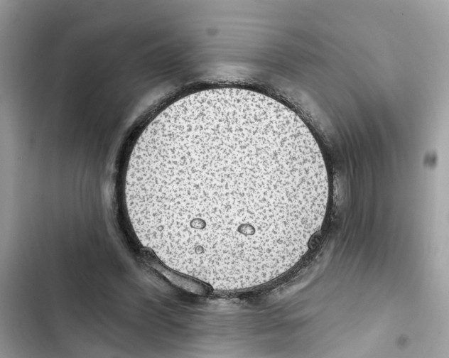 X0000101970396200808151343