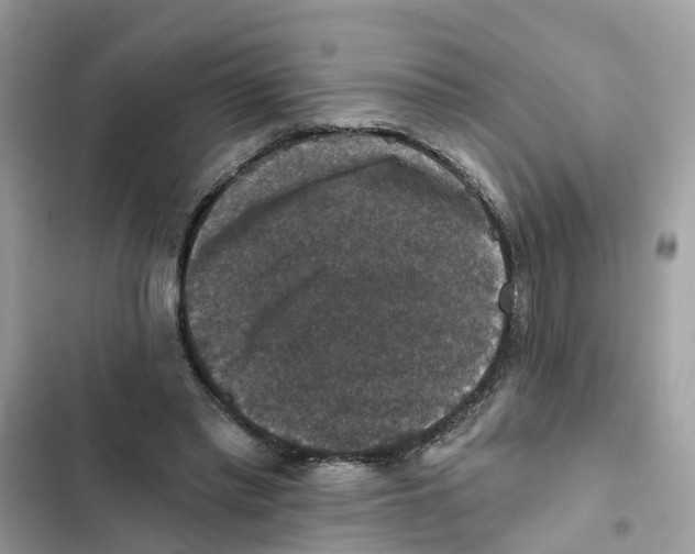 X0000101970397200808151343