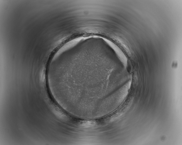 X0000101970398200808151343