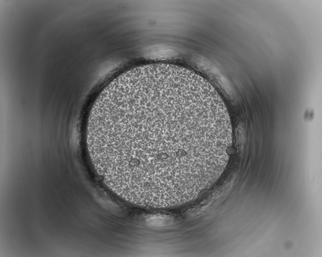 X0000101970400200808151343