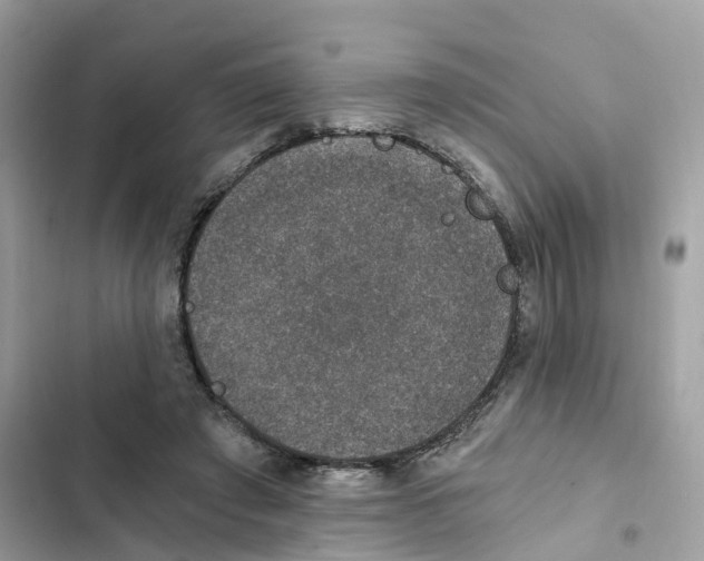 X0000101970401200808151343