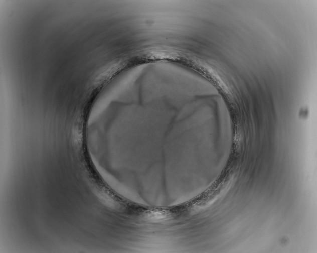 X0000101970402200808151343