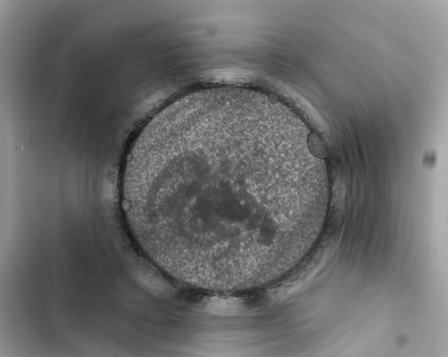 X0000101970403200808151343