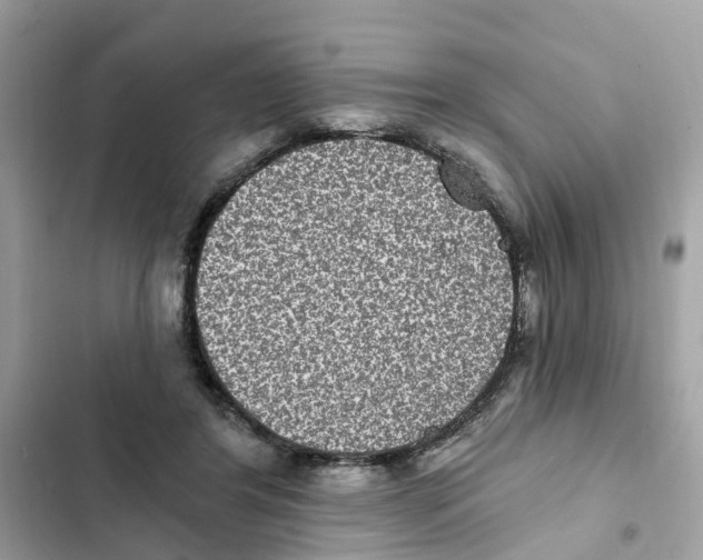 X0000101970404200808151343