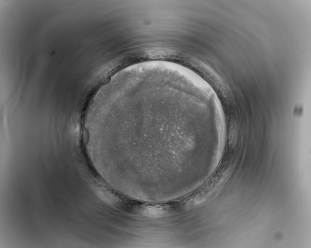 X0000101970405200808151343