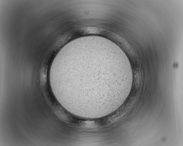 X0000101970406200808151343