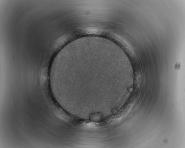 X0000101970407200808151343