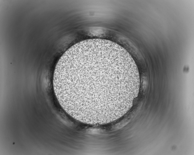 X0000101970408200808151343