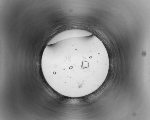 X0000101970409200808151342