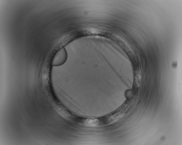 X0000101970410200808151342
