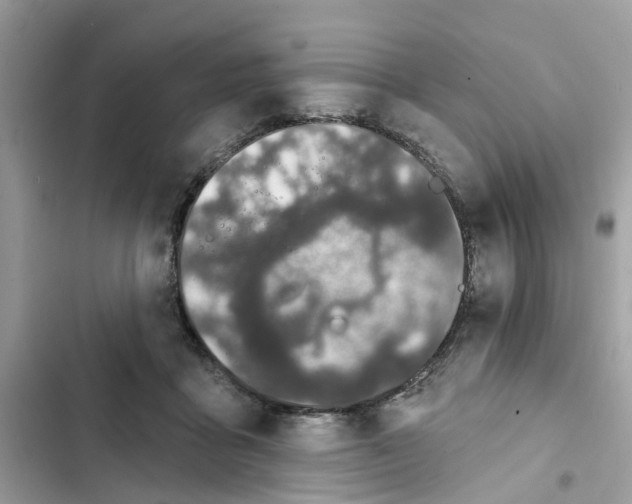 X0000101970411200808151342