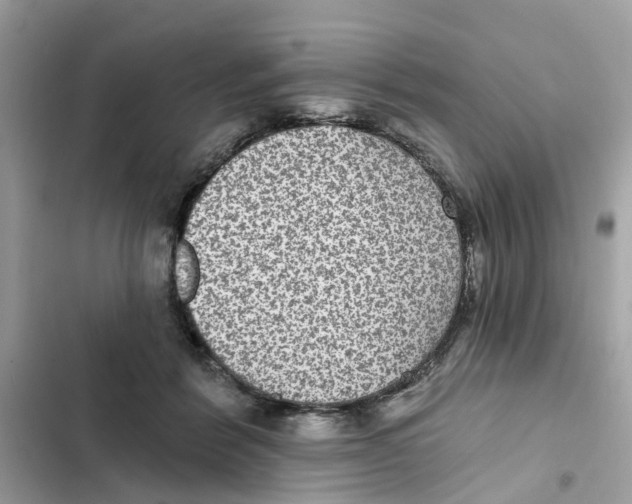X0000101970412200808151342