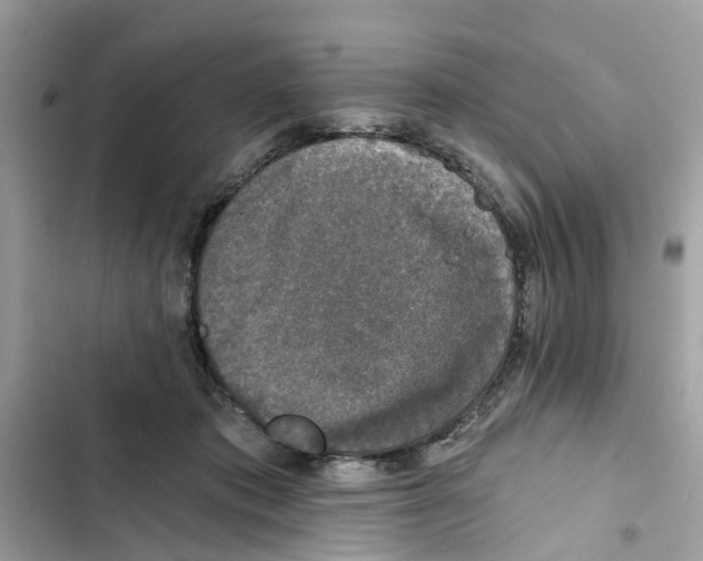 X0000101970413200808151342