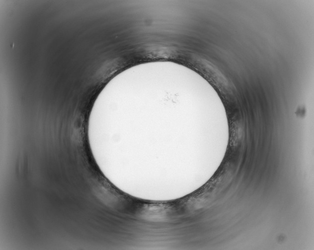 X0000101970414200808151342