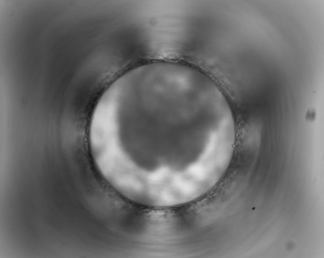 X0000101970415200808151342