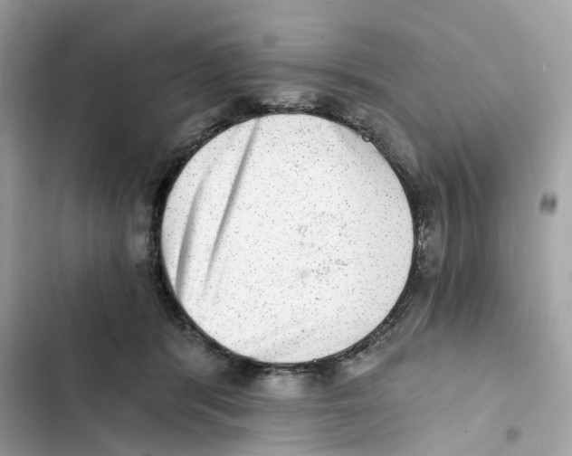 X0000101970416200808151342