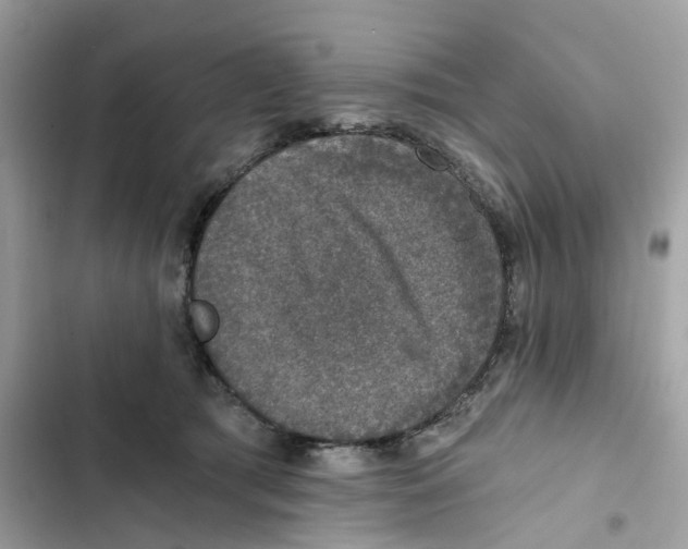 X0000101970417200808151342