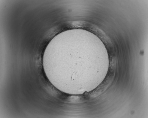 X0000101970418200808151342