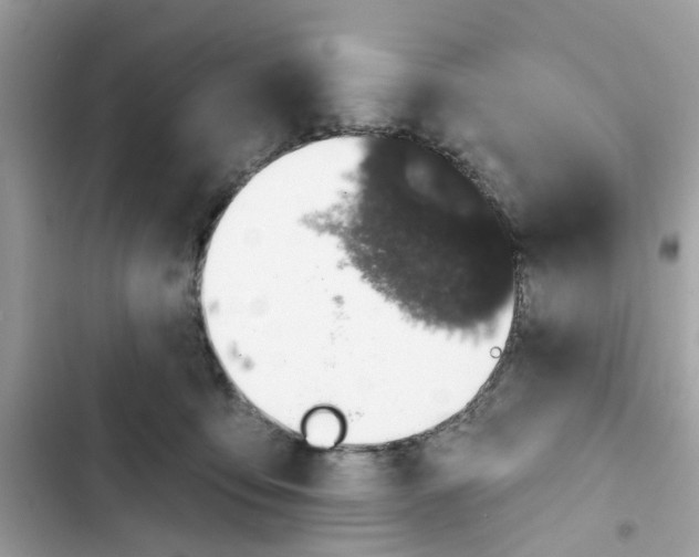 X0000101970419200808151342