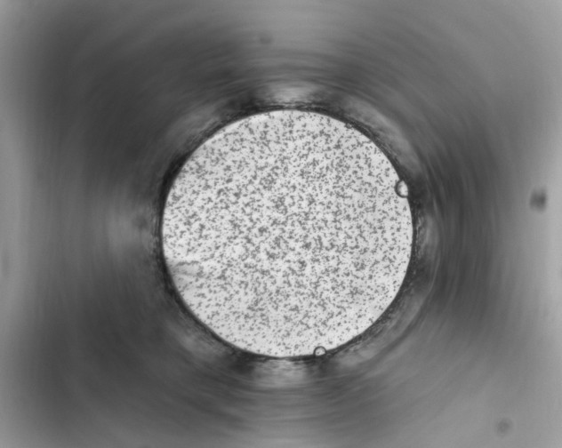 X0000101970421200808151342