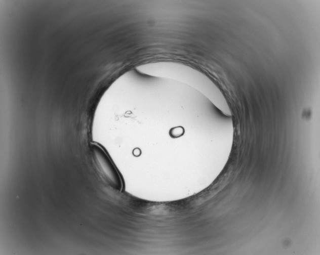 X0000101970423200808151342