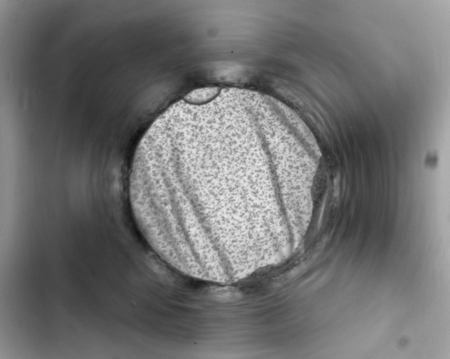 X0000101970424200808151342