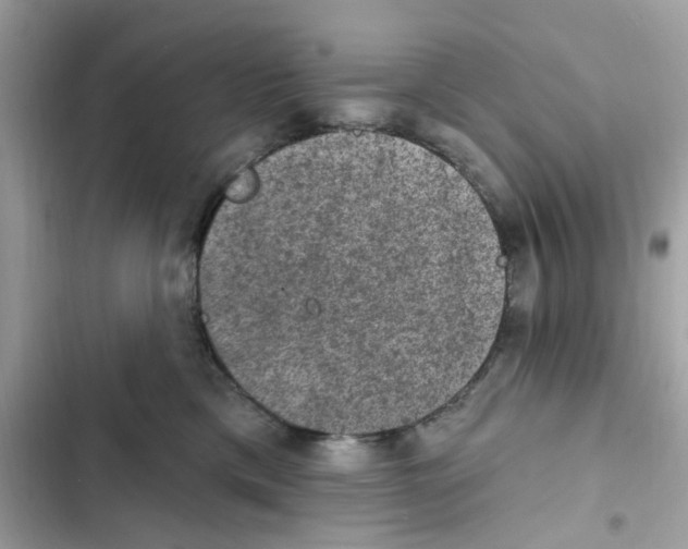 X0000101970425200808151342