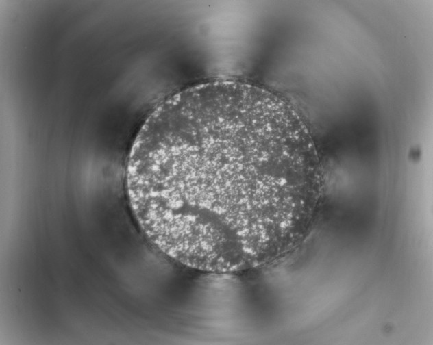 X0000101970427200808151342