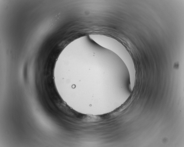 X0000101970429200808151342