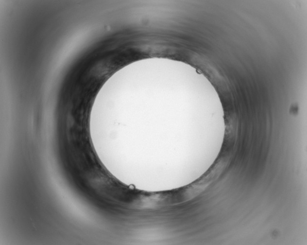 X0000101970430200808151342