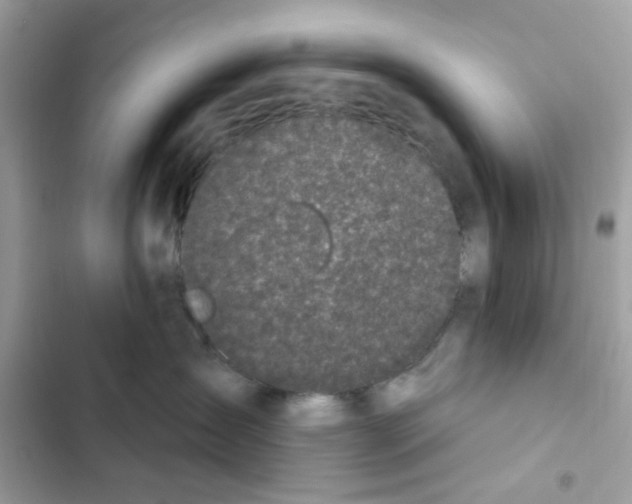 X0000101970431200808151342