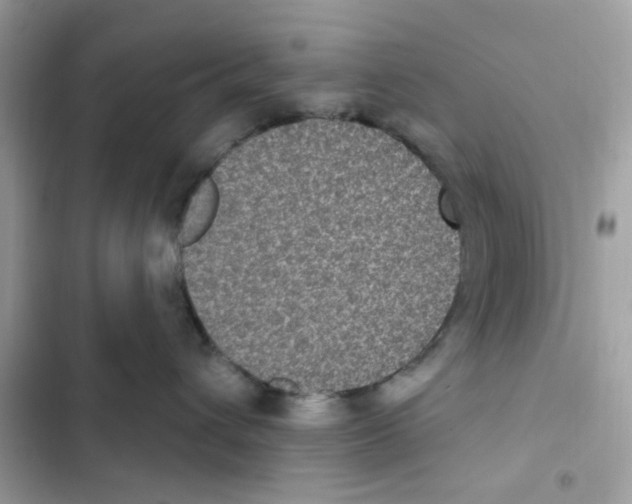 X0000101970432200808151342