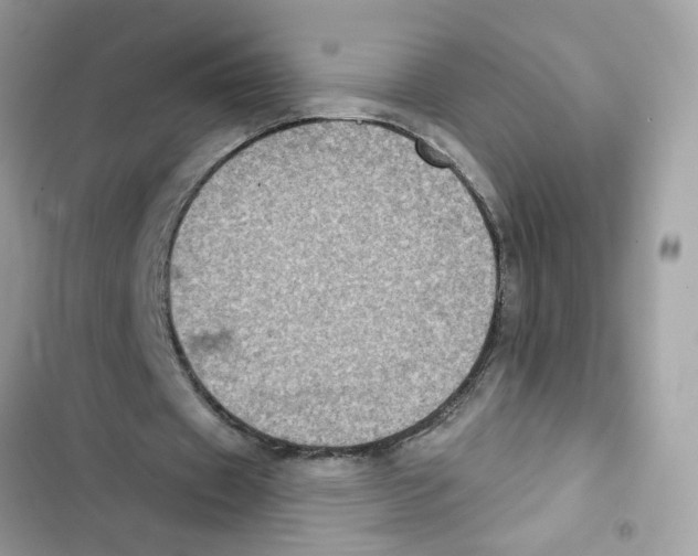 X0000101970433200808151341