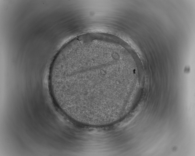X0000101970434200808151341