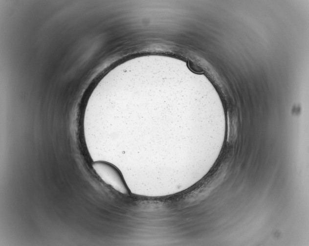 X0000101970435200808151341