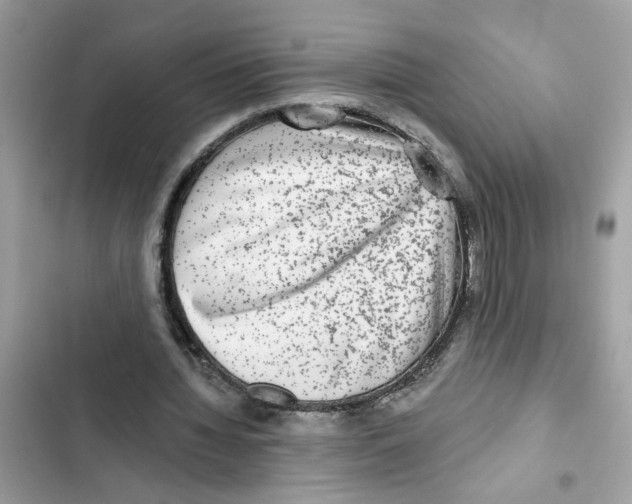X0000101970436200808151341