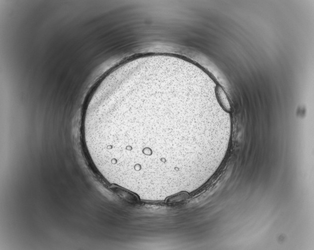 X0000101970437200808151341