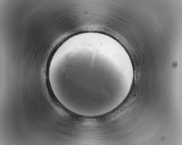 X0000101970438200808151341