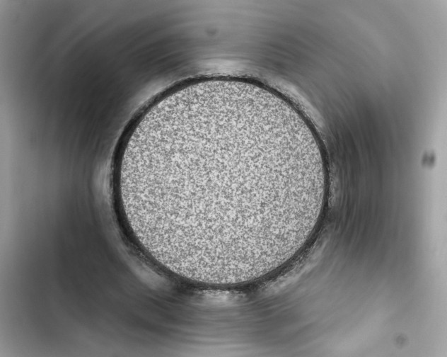 X0000101970439200808151341