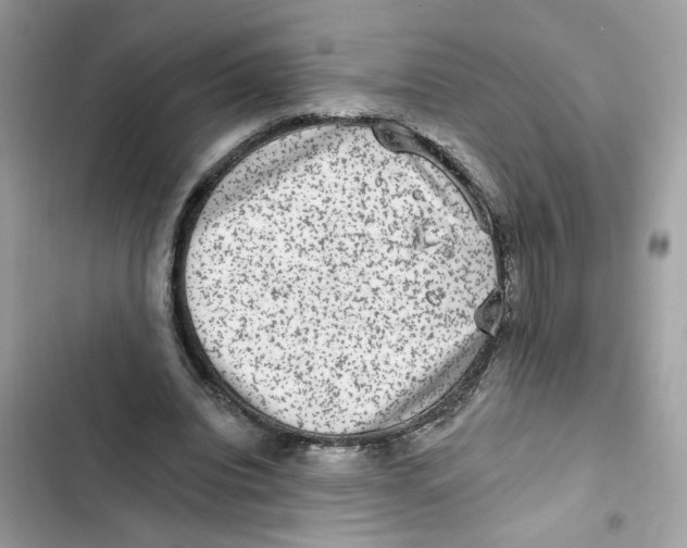 X0000101970440200808151341