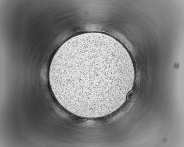 X0000101970441200808151341