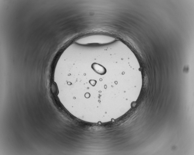 X0000101970444200808151341
